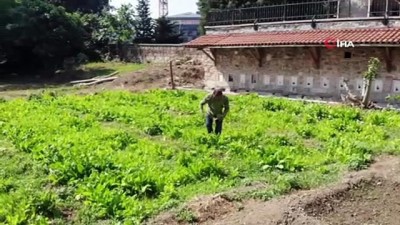  İstanbul’un göbeğinde 5 asırlık bostan