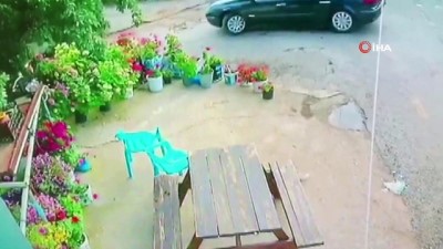 pazarci -  Menteşe'de çalınan köpek sahibine teslim edildi Videosu