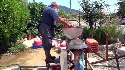 sebze uretimi -  Senenin sadece dört ayı sokak sokak geziyor, günlük 1 tona kadar salça çekiyor Videosu