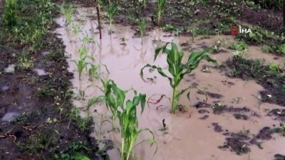 gesi -  Tokat’ta sağanak tarım arazilerini vurdu Videosu