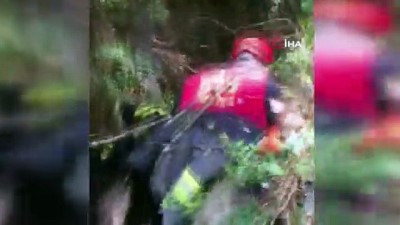 mahsur kaldi -  Yaralı köpeğin yardımına itfaiye koştu Videosu