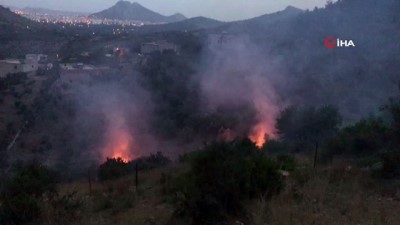 ormanli -  Adana’da orman yangını Videosu