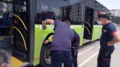  Halk otobüsüne giren 2 metrelik yılan itfaiye ekiplerini seferber etti