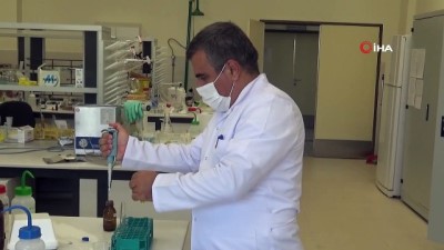 zeytin agaci -  Kilis zeytin yağında Türkiye ve Avrupa’da ilk kez Omega-7 yağ asidi bulundu Videosu
