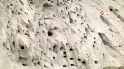 irak -  Kırlangıçların yuva yaptığı kuma dokunmuyorlar Videosu