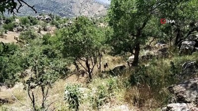  MSB: “Komandolarımız terör örgütü PKK’nın Haftanin’deki sığınak, barınak ve mağaralarını teker teker imha ediyor”