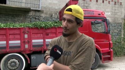 issiz gencler -  Rizeliler, Antalyalı genç çay işçilerini çok sevdi Videosu