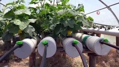 oksijen seviyesi -  Salgın tatilini fırsata çevirdi, topraksız tarıma yöneldi Videosu