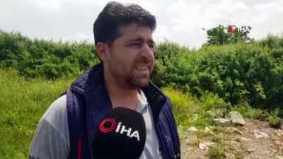 balik tutma -  İznik Gölü'ne karışan derenin rengi siyaha döndü Videosu