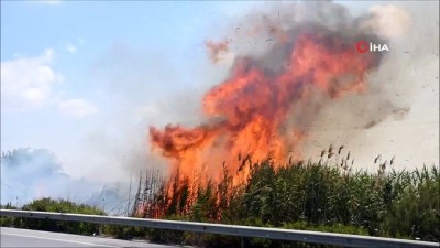 yangin yeri -  Söke’deki sazlık yangınından oluşan duman sürücülere zor anlar yaşattı Videosu