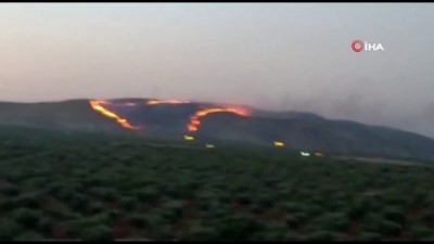  Zergil Dağı'ndaki orman yangını söndürüldü