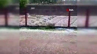  Aksaray'da dolu yağışı tarım arazilerine zarar verdi