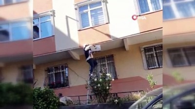  Arılar apartman duvarına yuva yaptı