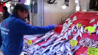  Balıkçı tezgahlarında benekli somon ve barbun sürprizi