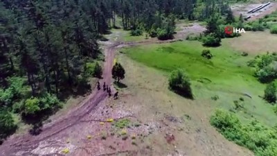  Dağda yaşayan yabanî atlar böyle görüntülendi