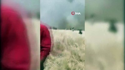 Terör örgütü YPG/PKK, sivillerin tarım arazisini yakmaya devam ediyor