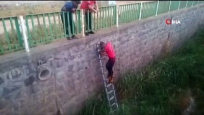  Tahliye kanalına düşen yavru köpekler kurtarıldı