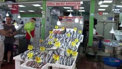 omega -  Toptan balık alıcıları kapalı olunca balık çeşitliliği vatandaşa kaldı Videosu