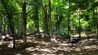 ormana -  Vatandaşlar Belgrad Ormanı'na akın etti Videosu