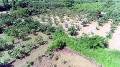  Afet bölgesinde binlerce dönüm tarım arazisi sular altında