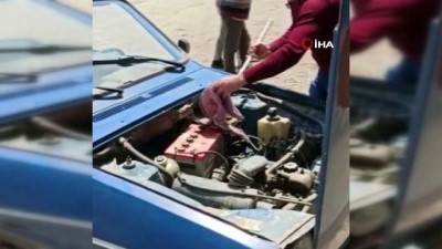  Bakmaya korktukları yılanı eliyle çıkarttı
