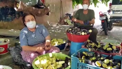 irak -  Havalar ısınınca Patlıcan Vadisi hareketlendi Videosu