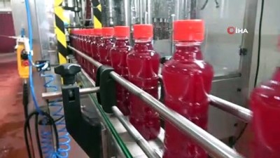 salgam suyu -  Korona virüs ve tescil şalgam ihracatını arttırdı Videosu