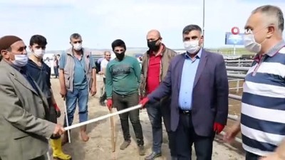  Kurban pazarlığı 1 sopa mesafesinde