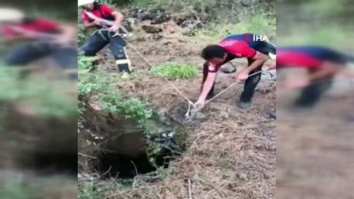 ormanli -  Kuyuya düşen keçi itfaiye tarafından kurtarıldı Videosu