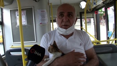  Belediye otobüsünde sıkışan kedi, şoförün 10 saatlik uğraşı sonrasında kurtarıldı