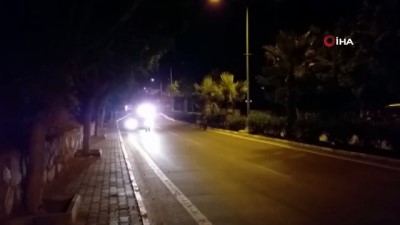  Bodrum’da şehre inen domuz ailesi ilgi odağı oldu