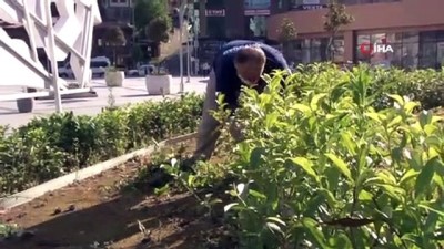  Çay üreticileri bu kez kendi çay bahçelerine değil şehir meydanındaki çay bahçesine girdiler