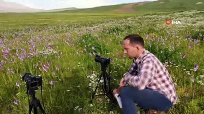  Çiçeklerle renklenen Sütey Yaylası ve Süphan Dağı’nın manzarası hayran bırakıyor