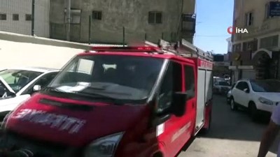 sokak kedisi -  Kilis'te kedi kurtarma operasyonu Videosu