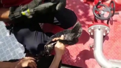  Ayağı ipe dolaşan kargayı itfaiye ekipleri kurtardı