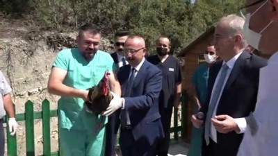 bakis acisi -  - Vali Atik, sokak hayvanlarını sahiplenme çağrısında bulundu Videosu