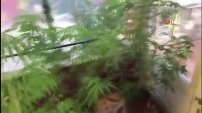  Adana'da uyuşturucu operasyonu: 2 gözaltı