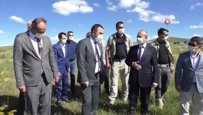 benin -  Kars’ta Kavılca buğdayı dönemi başladı Videosu