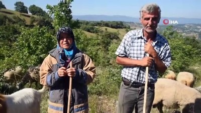 yildirim dusmesi -  Cumhurbaşkanı Erdoğan’ın koyunlar için aradığı vatandaş konuştu...'Cumhurbaşkanımız hem analık hem babalık yaptı bize' Videosu