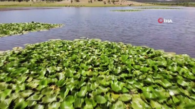 nilufer -  Doğa güzelliği Yayla Gölü hassas koruma alanı ilan edildi Videosu