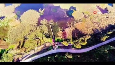 kompozisyon -  Efteni gölü misafirlerini bekliyor Videosu