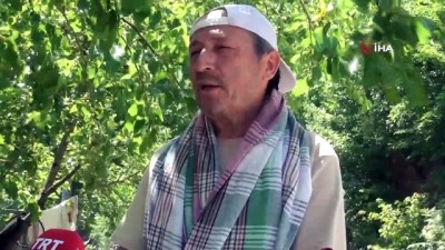 potasyum -  Giresunlu köylüler geleneksel yöntemlerle dut pekmezi  yapıyor Videosu