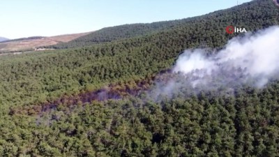 helikopter -  Kayışdağı'nda ormanlık alanda yangın çıktı Videosu
