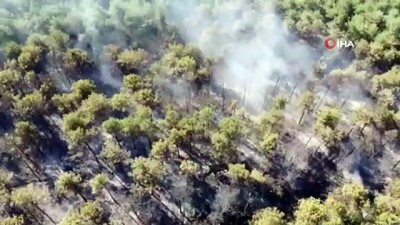 yangin helikopteri -  Kayışdağı'nda ormanlık alanda yangın çıktı Videosu