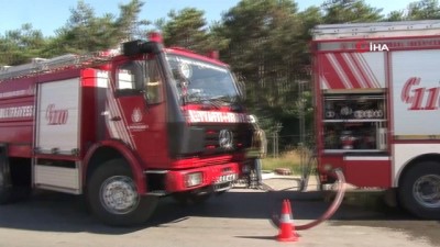 Kayışdağı'nda ormanlık alanda yangın çıktı