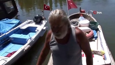  Küçükçekmece Gölü’ne binlerce balık kıyıya vurdu