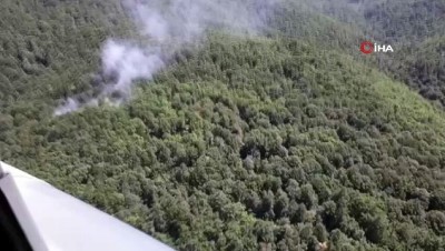  Çanakkale’de orman yangını