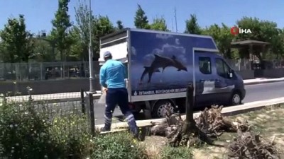  Çevre ve Şehircilik Bakanlığı ekipleri, balık ölümlerinin yaşandığı Küçükçekmece Gölü'nden numune alıyor