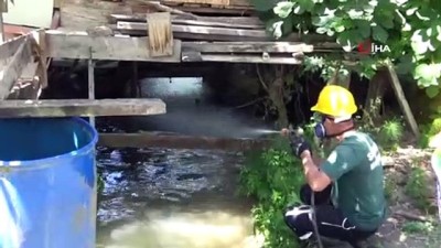 yagmur suyu -  Samsun’da günde 2 bin metrekare alanda larva mücadelesi yapılıyor Videosu