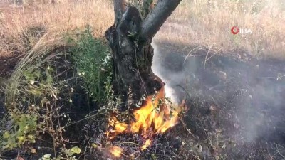 zeytin agaci -  Zeytinpark'ta korkutan yangın Videosu